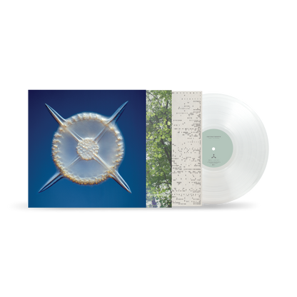 Contact Sports (Crystal Clear Vinyl)