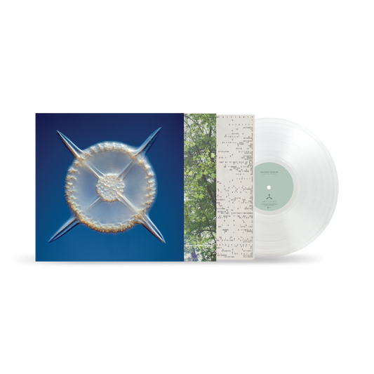 Contact Sports (Crystal Clear Vinyl)