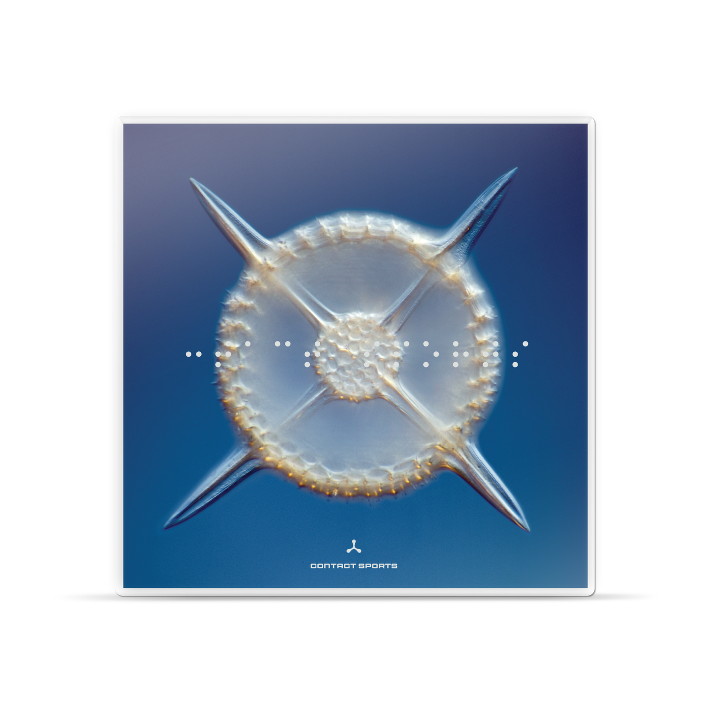 Contact Sports (Crystal Clear Vinyl)