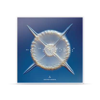 Contact Sports (Crystal Clear Vinyl)